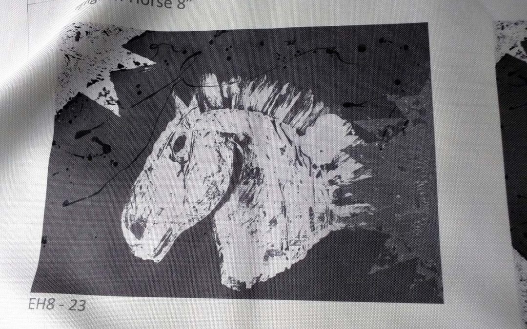 COLLEZIONE HORSES.